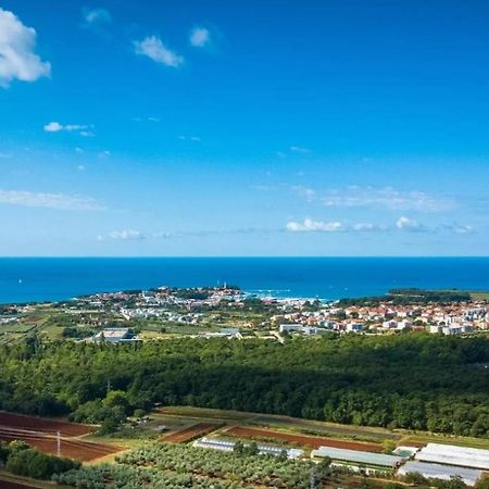 Villa Mimosa Novigrad  Екстер'єр фото