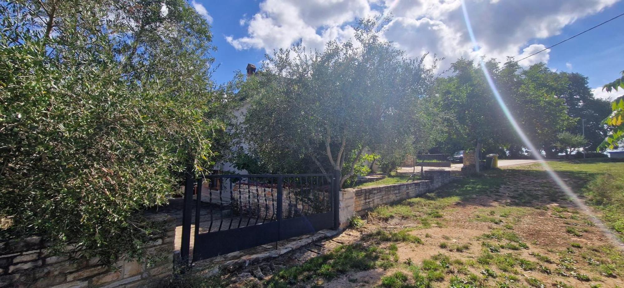Villa Mimosa Novigrad  Екстер'єр фото